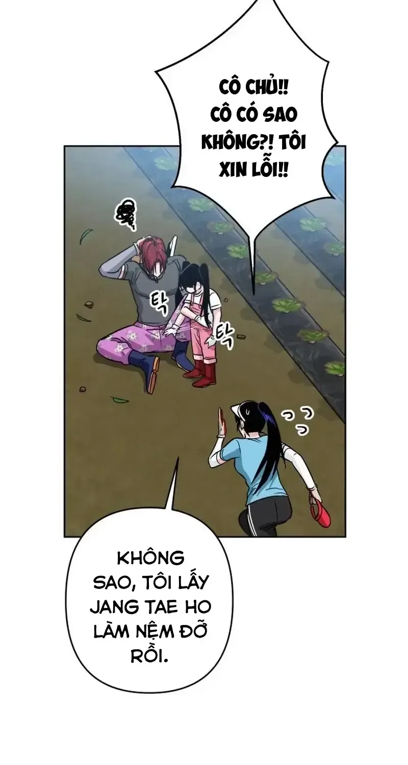 Chapter 4