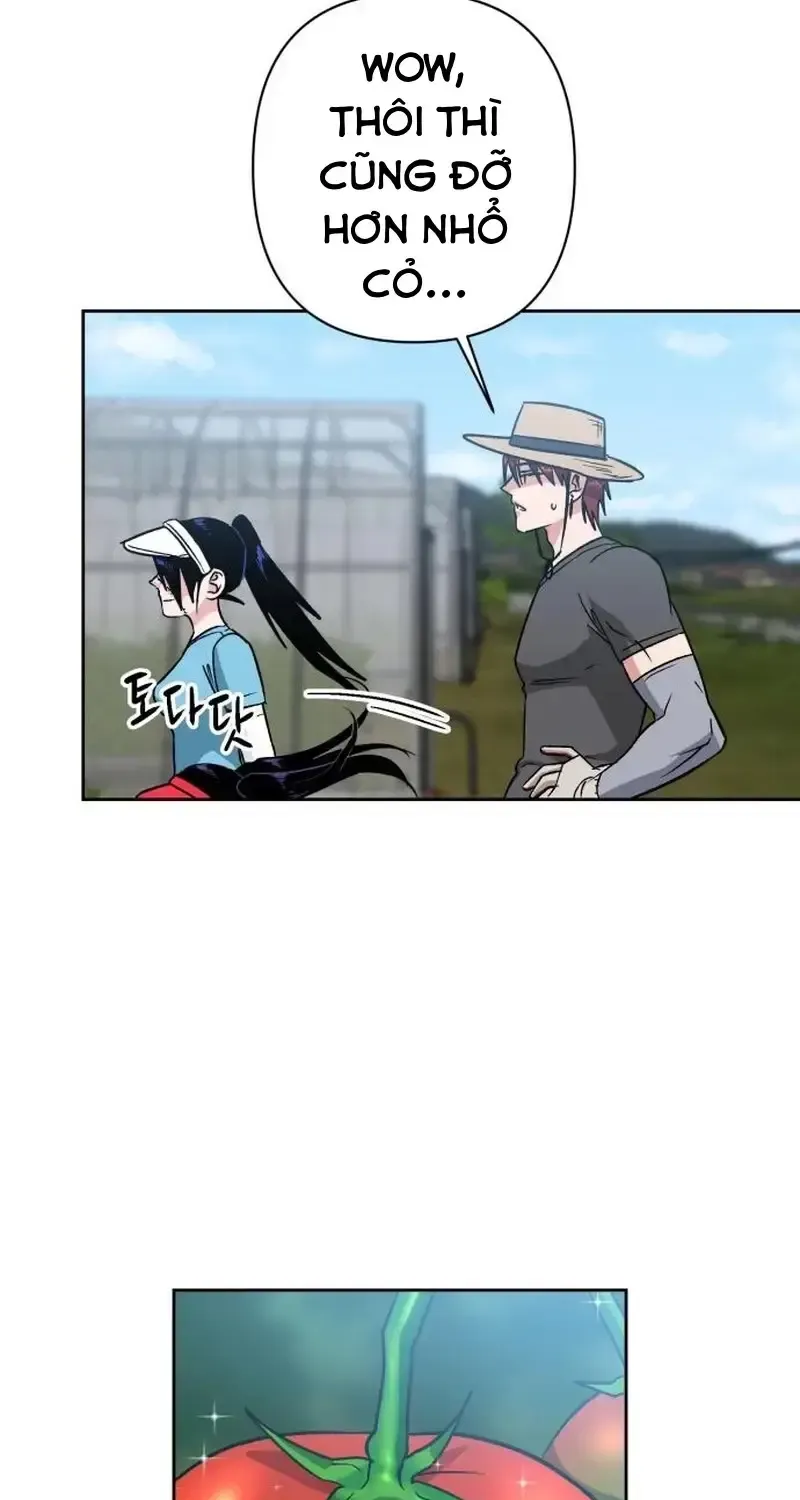 Chapter 4
