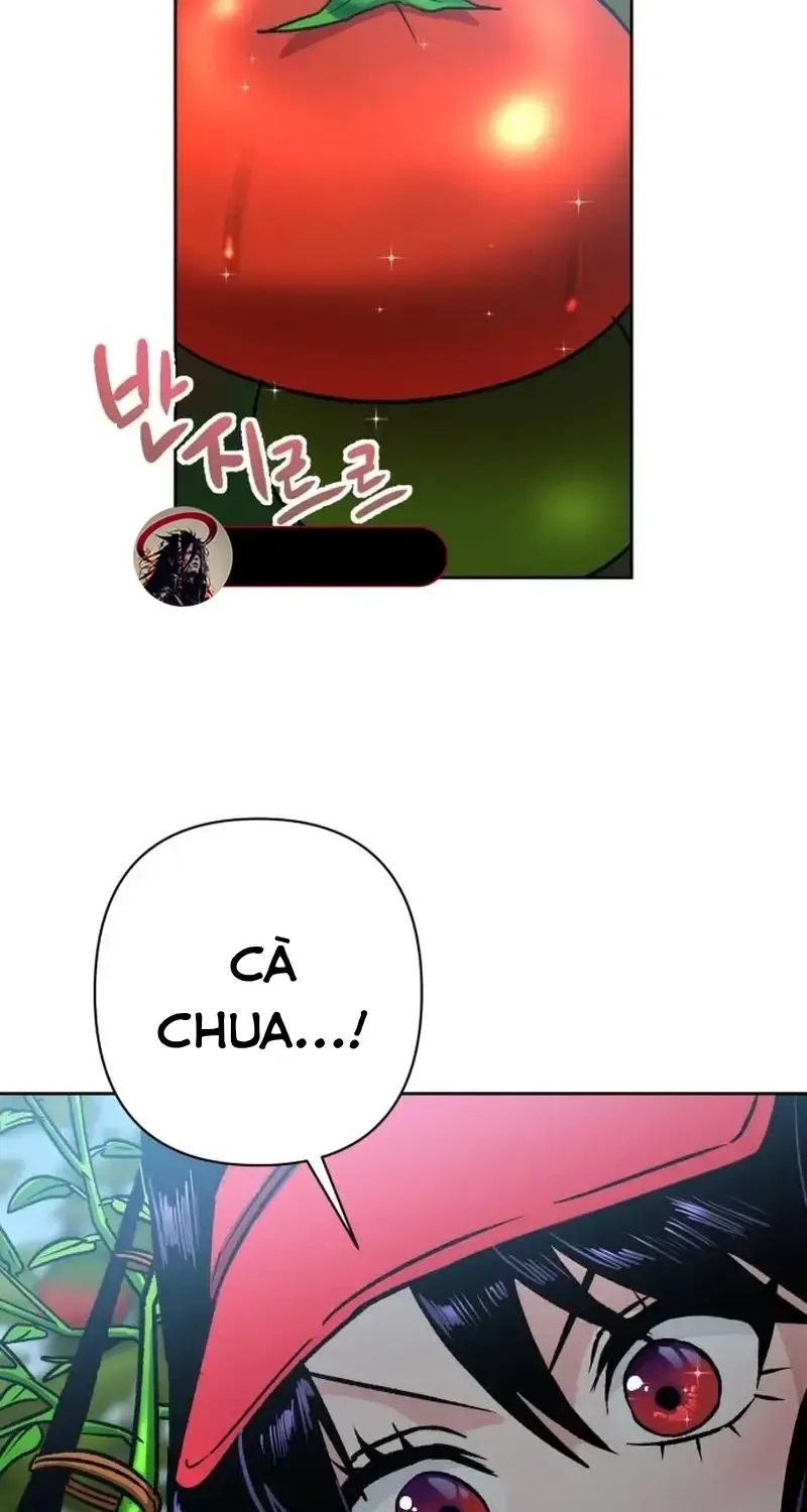 Chapter 4