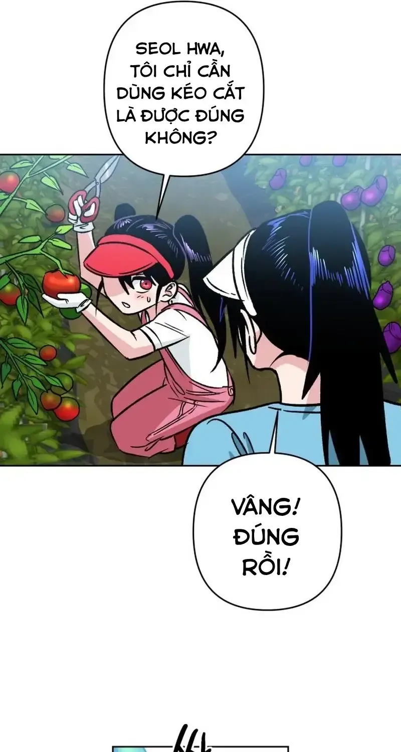 Chapter 4