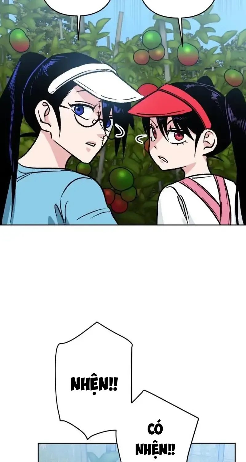 Chapter 4