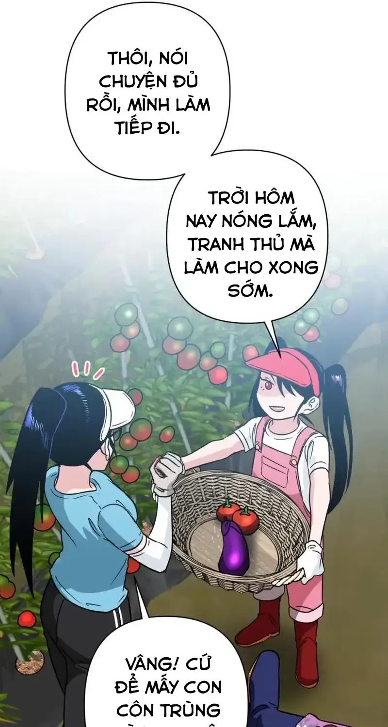 Chapter 4