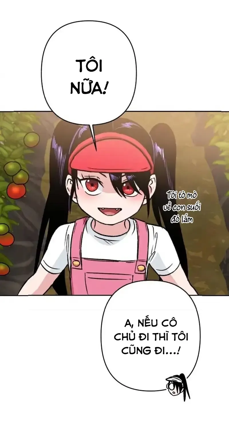 Chapter 4