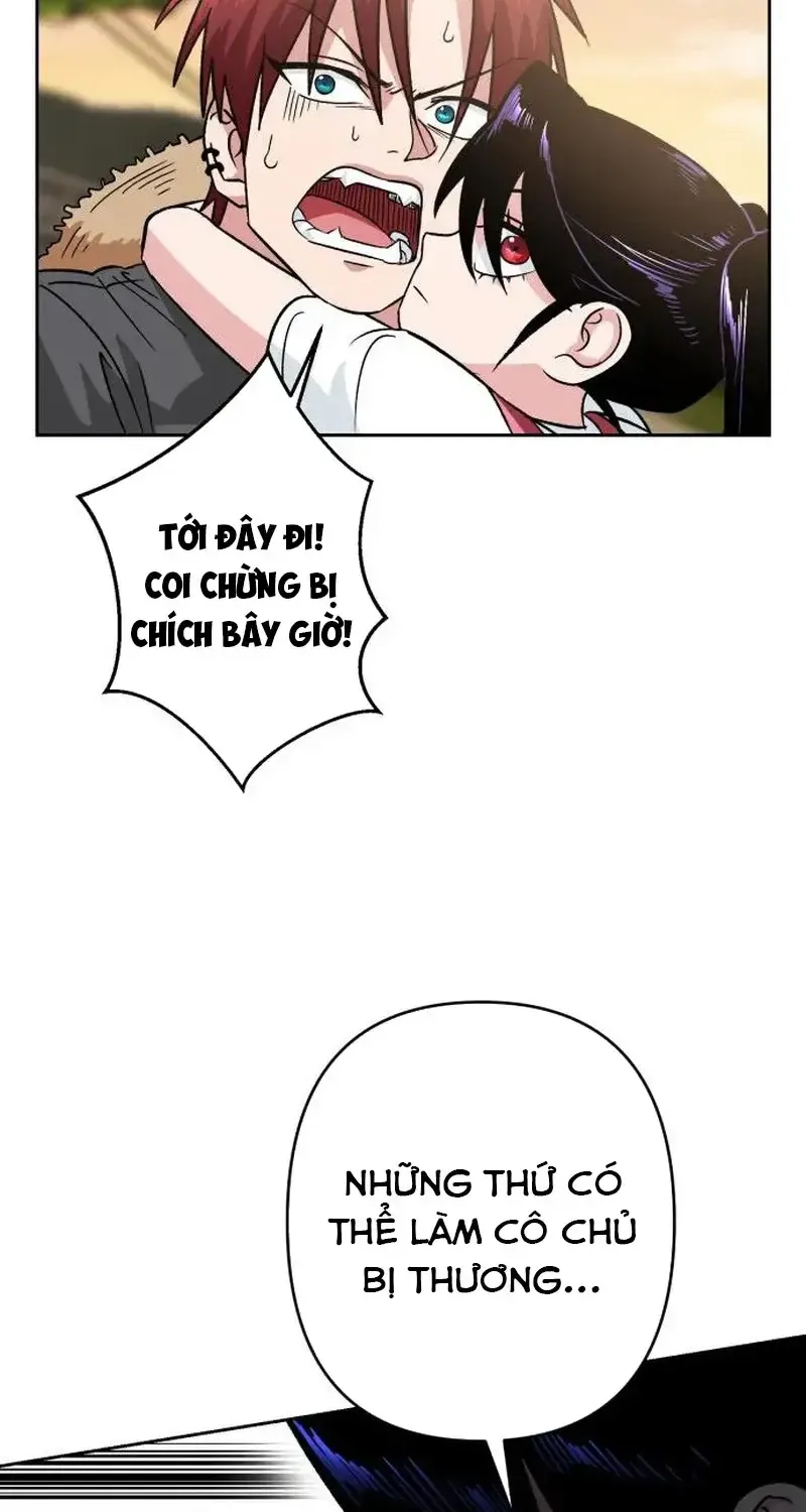Chapter 5