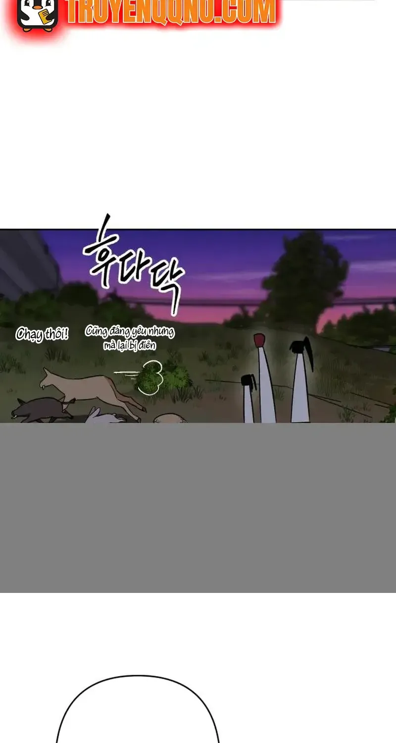 Chapter 5