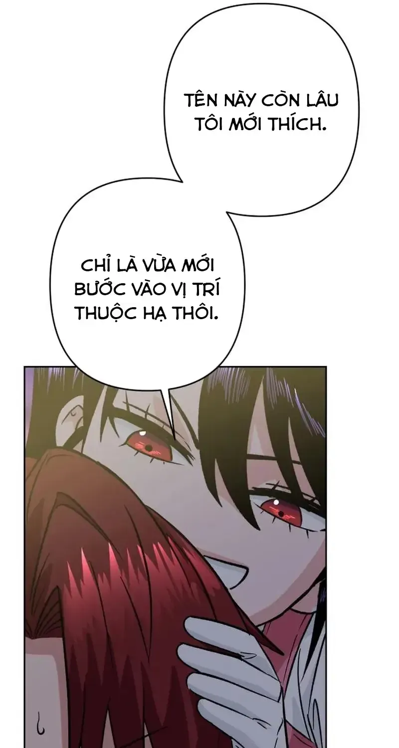 Chapter 5