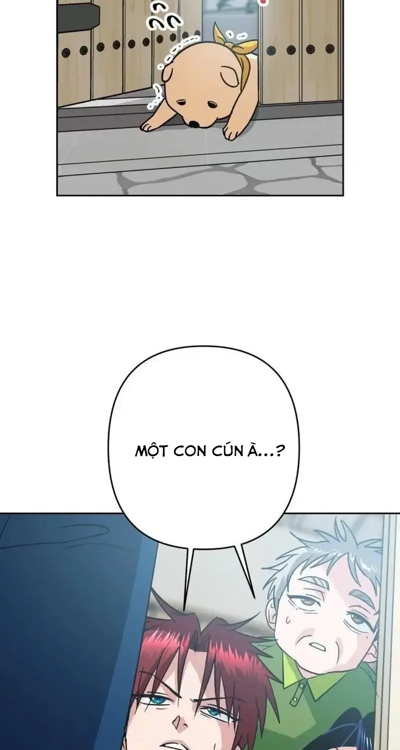 Chapter 6