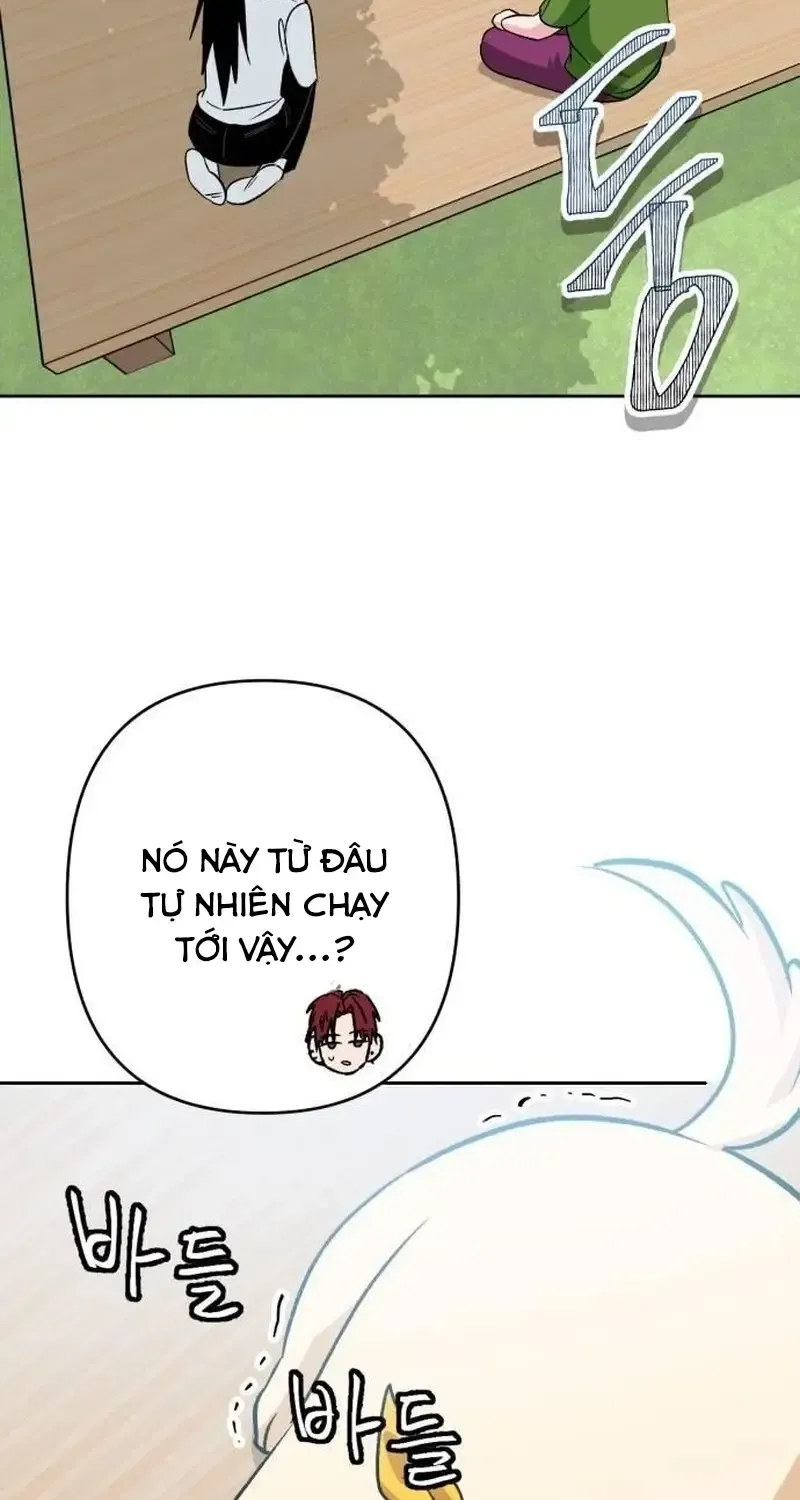 Chapter 6