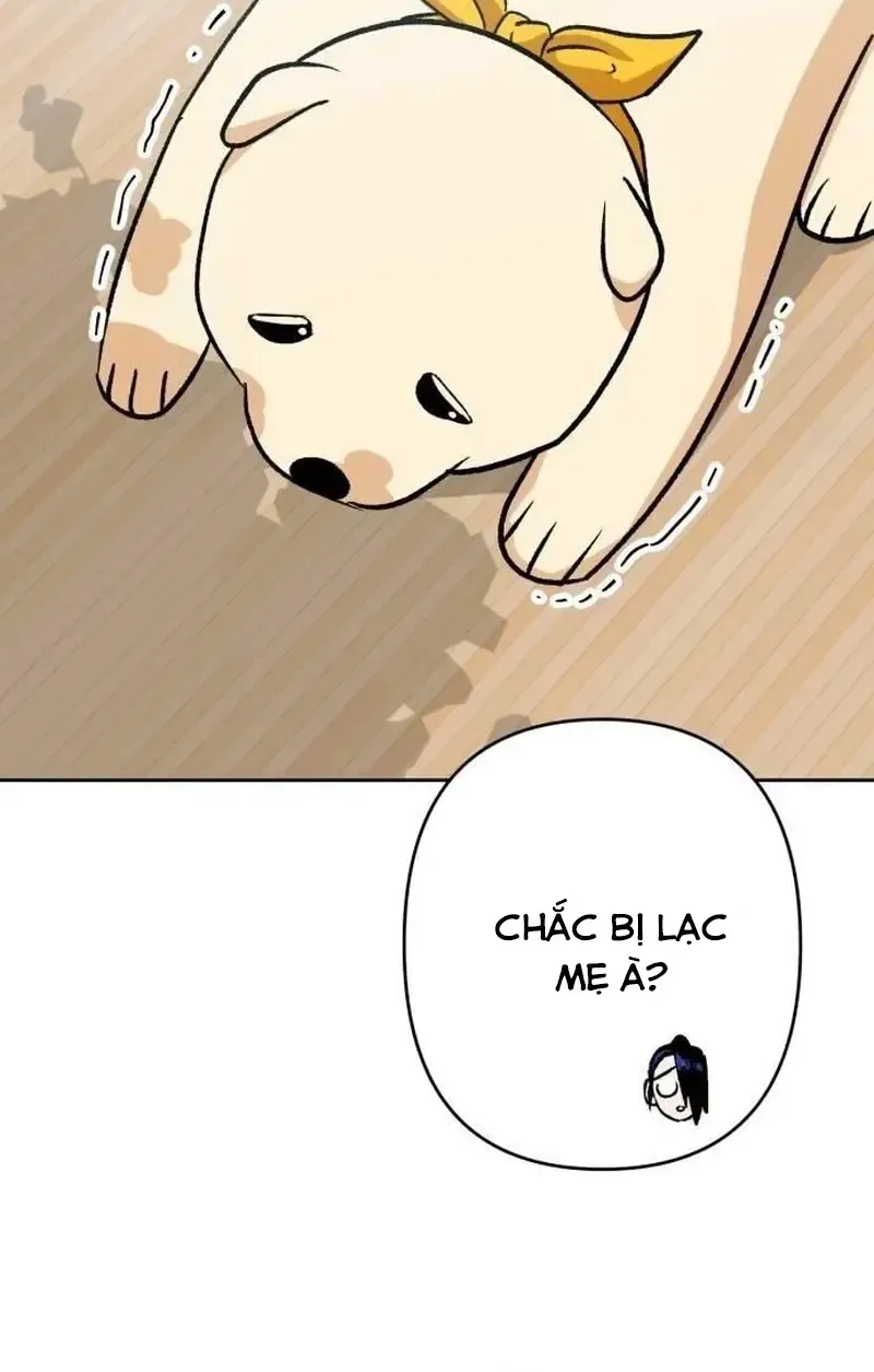Chapter 6