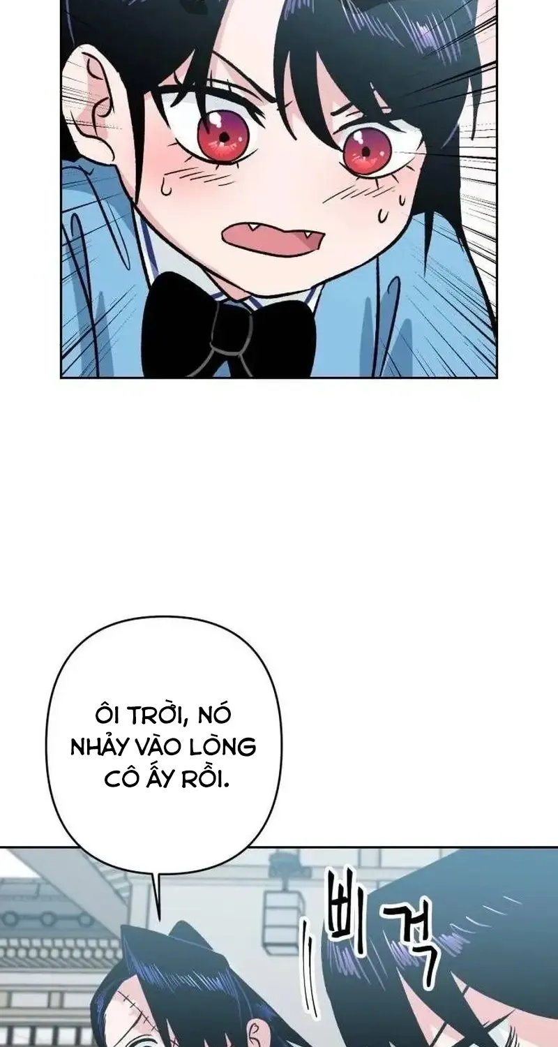 Chapter 6