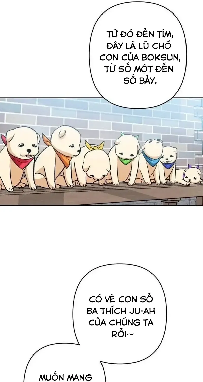 Chapter 6