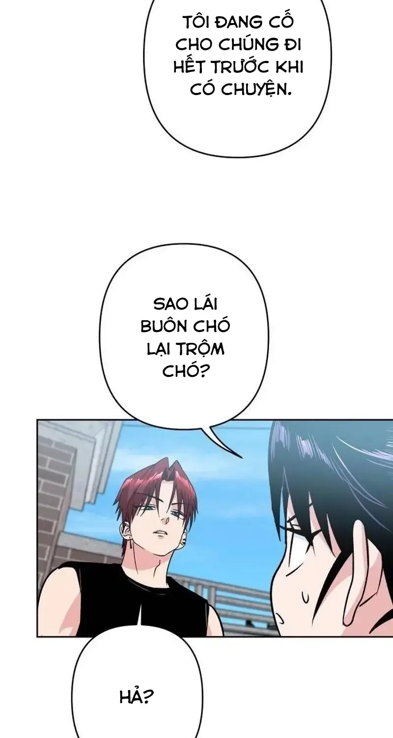 Chapter 6
