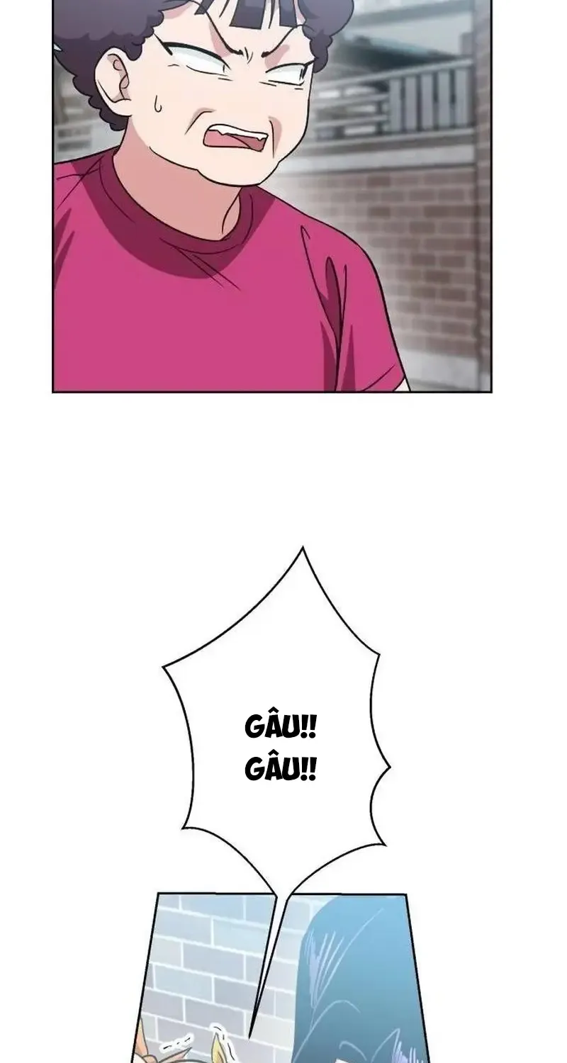 Chapter 6
