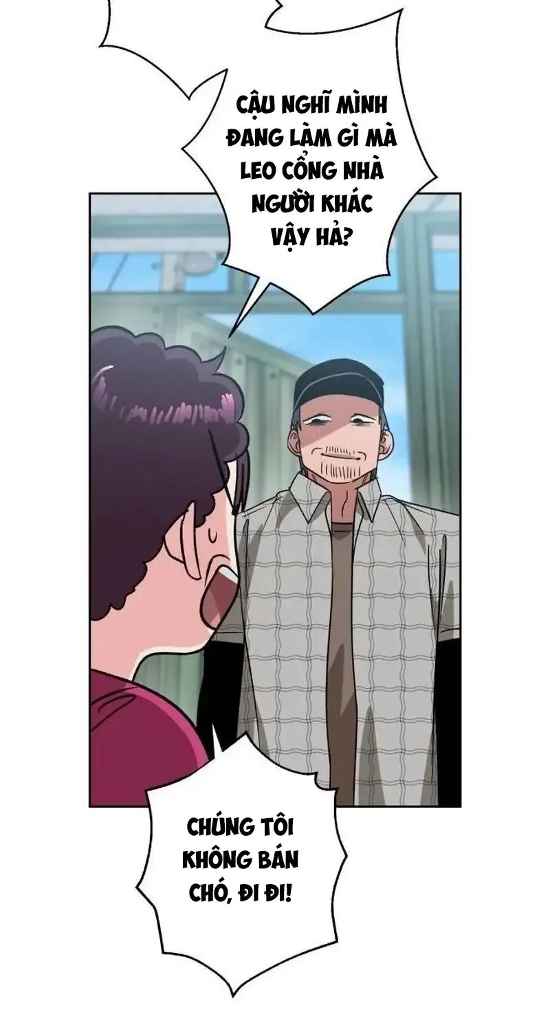 Chapter 6