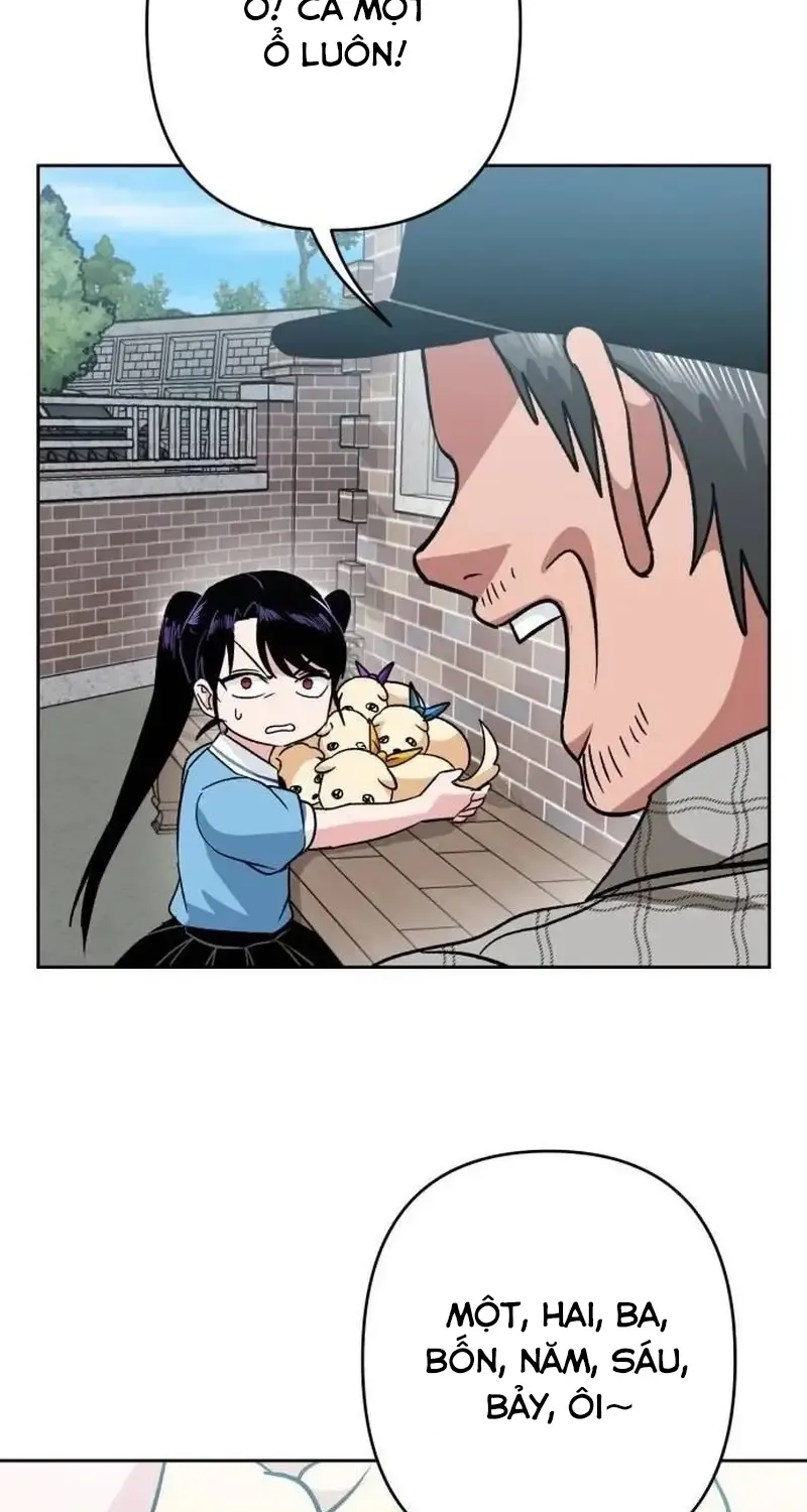 Chapter 6