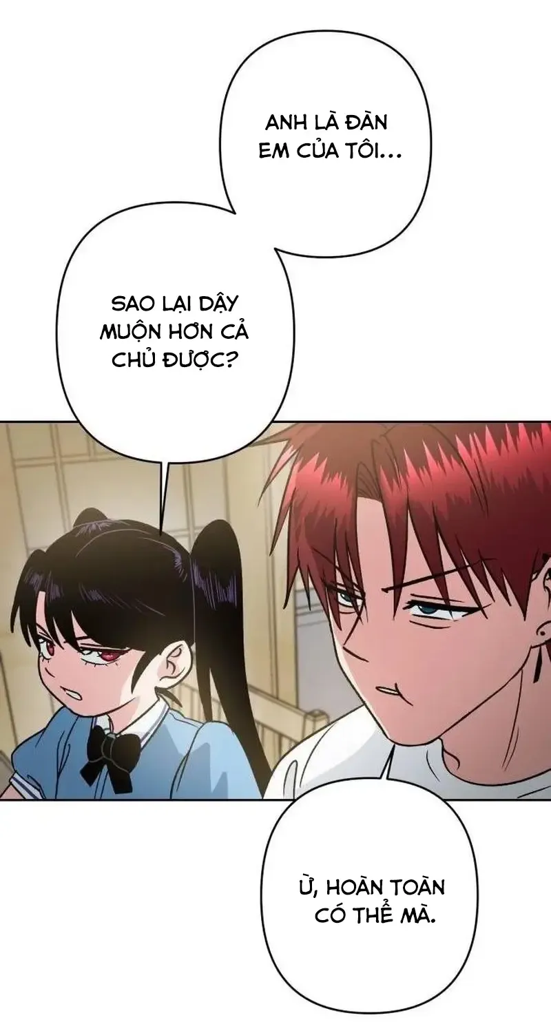 Chapter 6