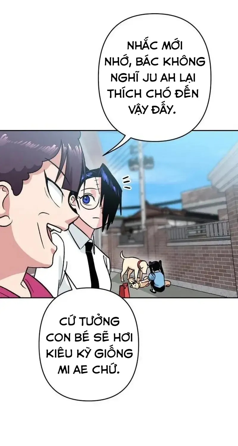 Chapter 7