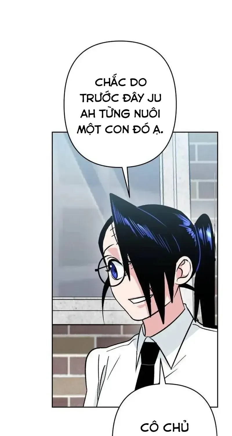 Chapter 7