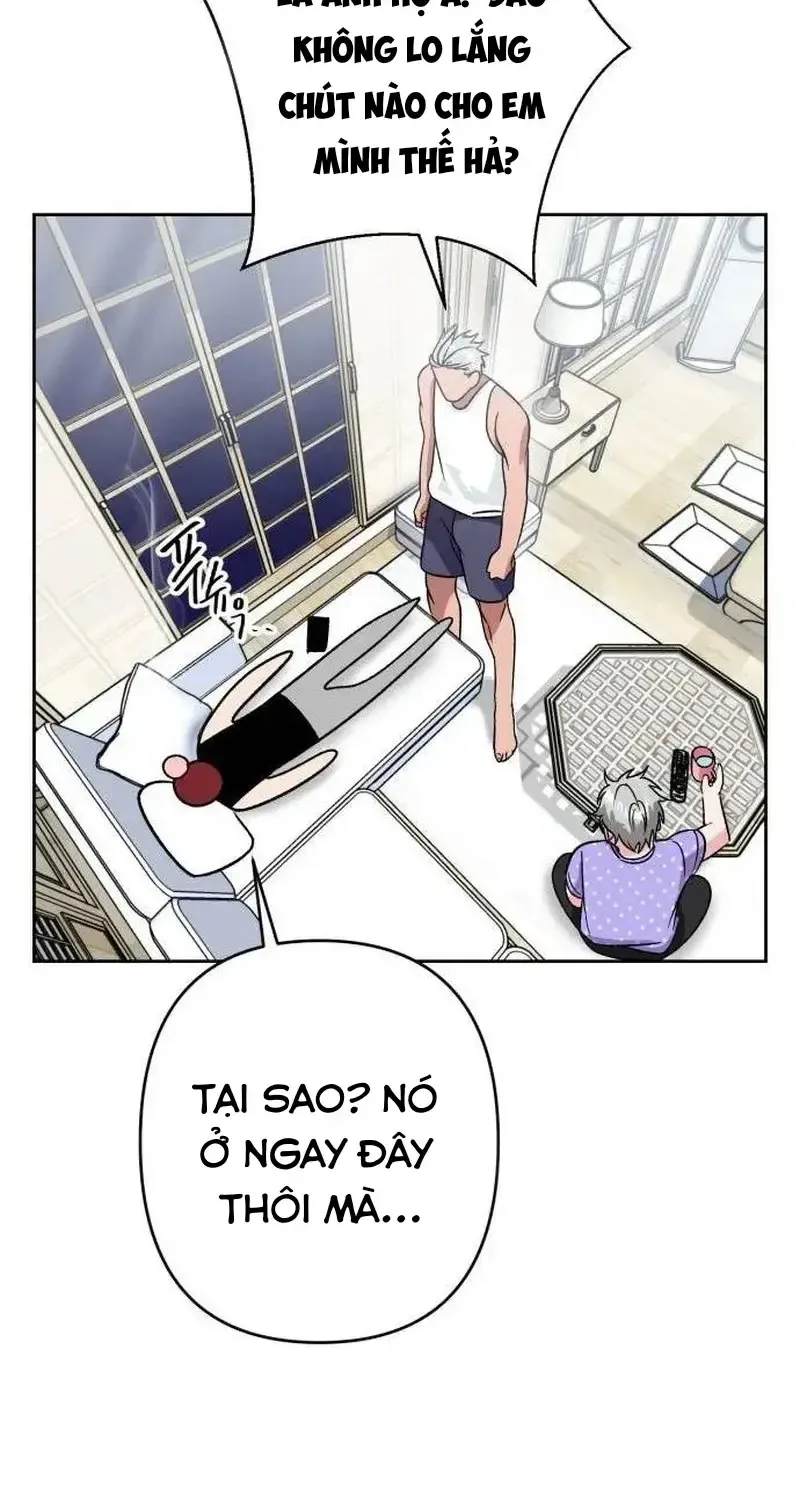Chapter 7
