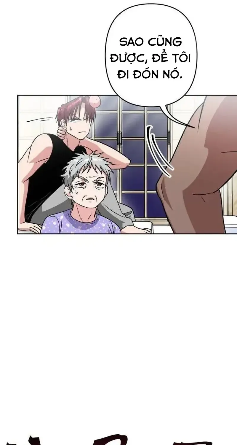 Chapter 7
