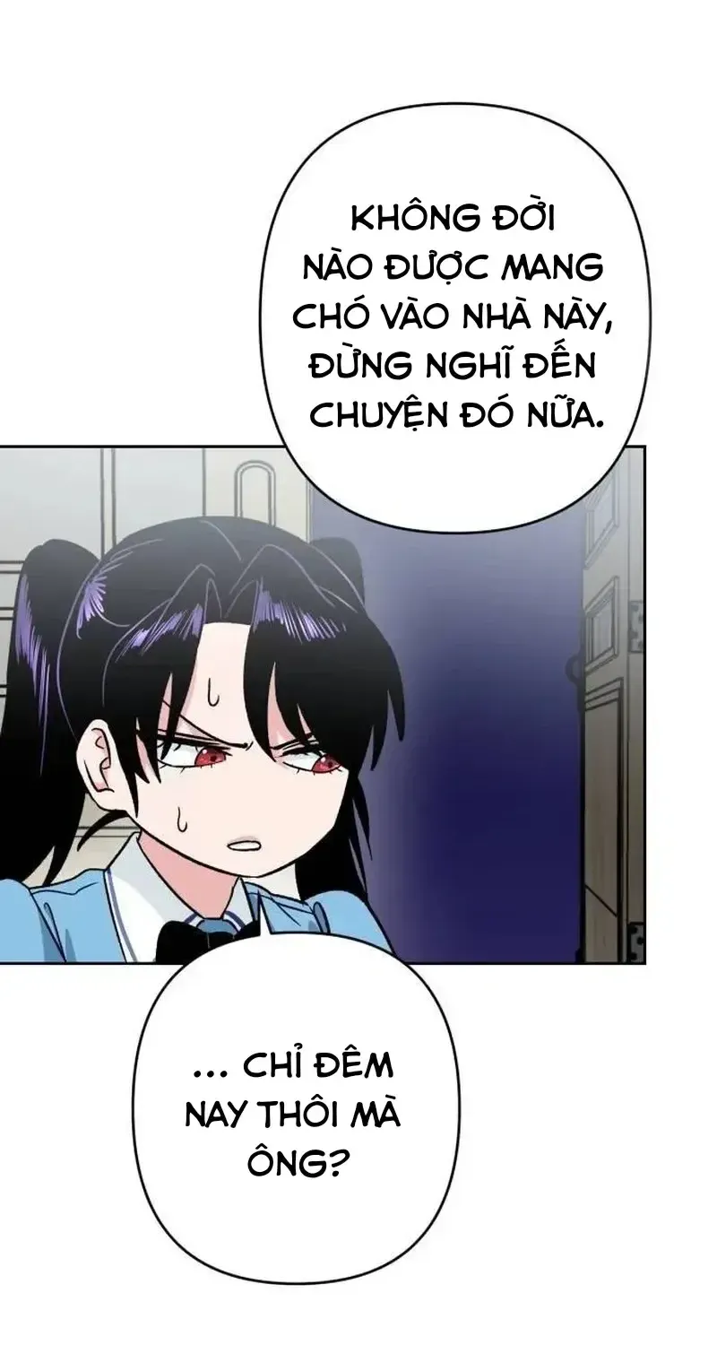 Chapter 7