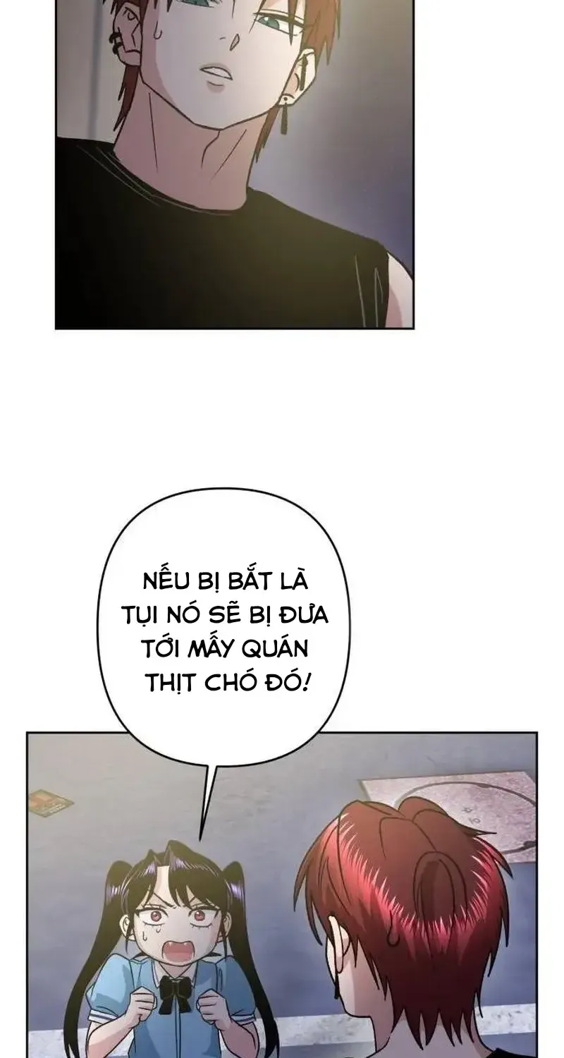 Chapter 7