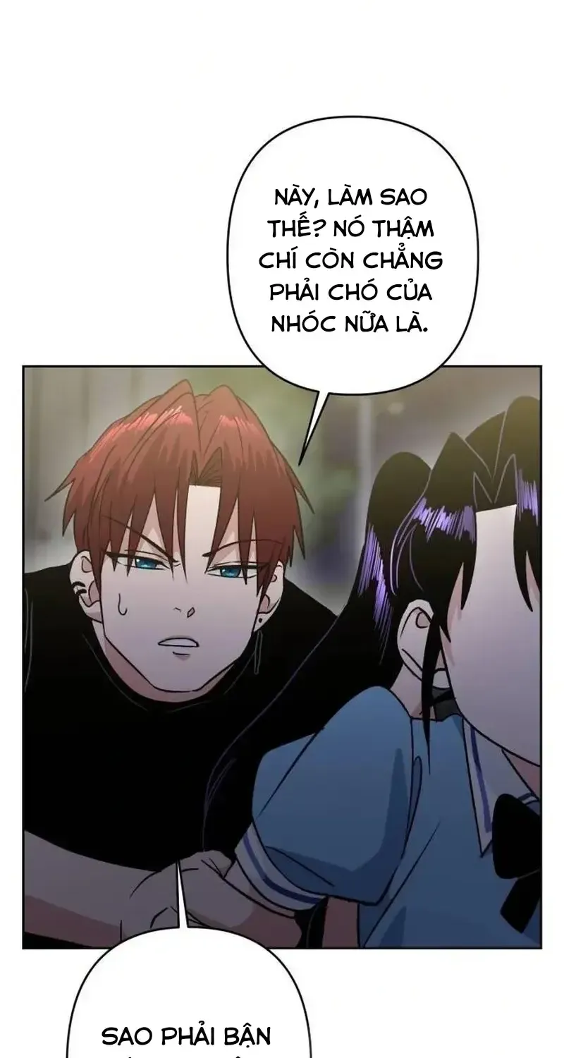 Chapter 7
