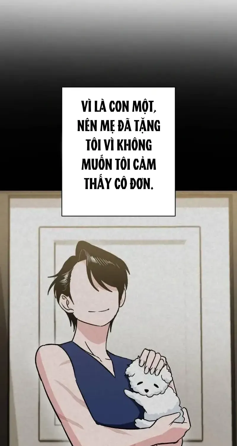 Chapter 7