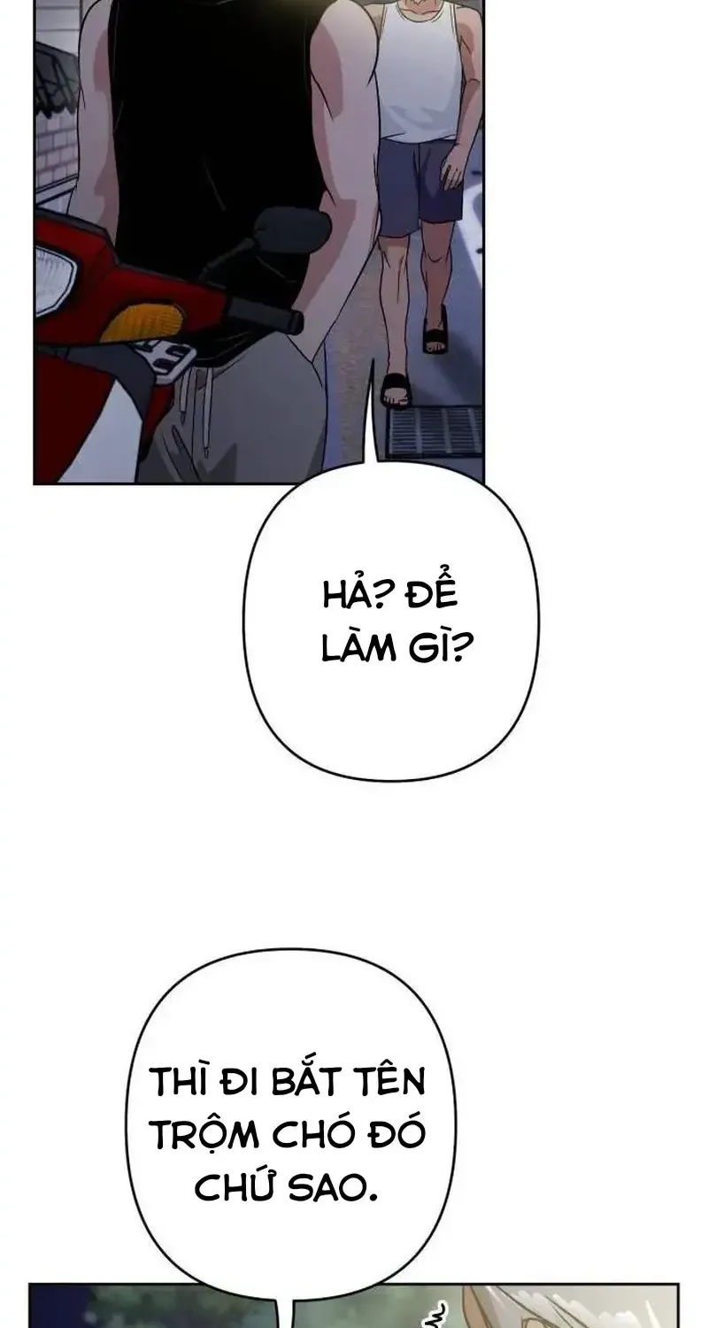Chapter 7