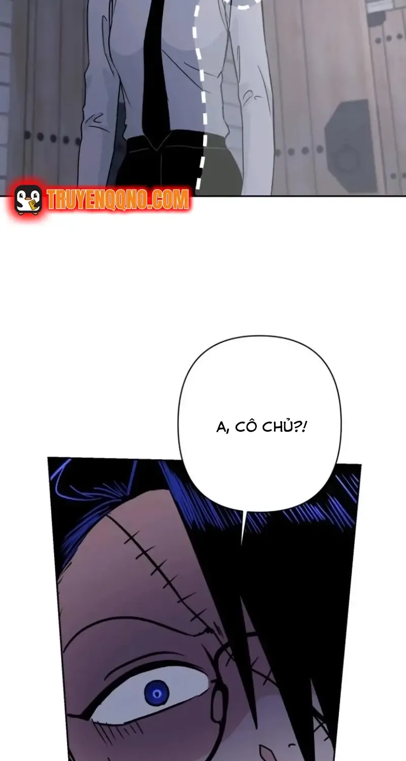 Chapter 8