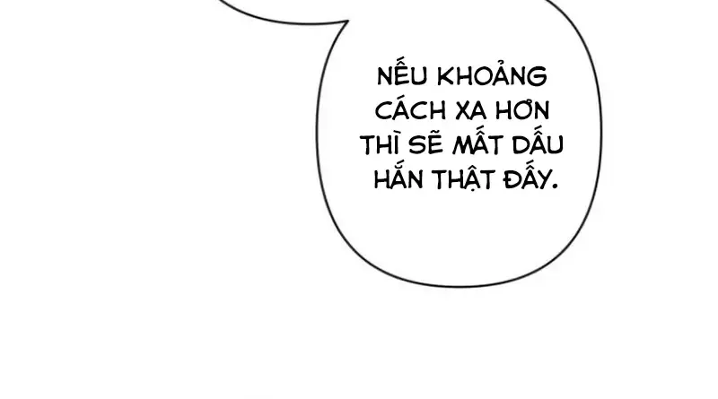 Chapter 8