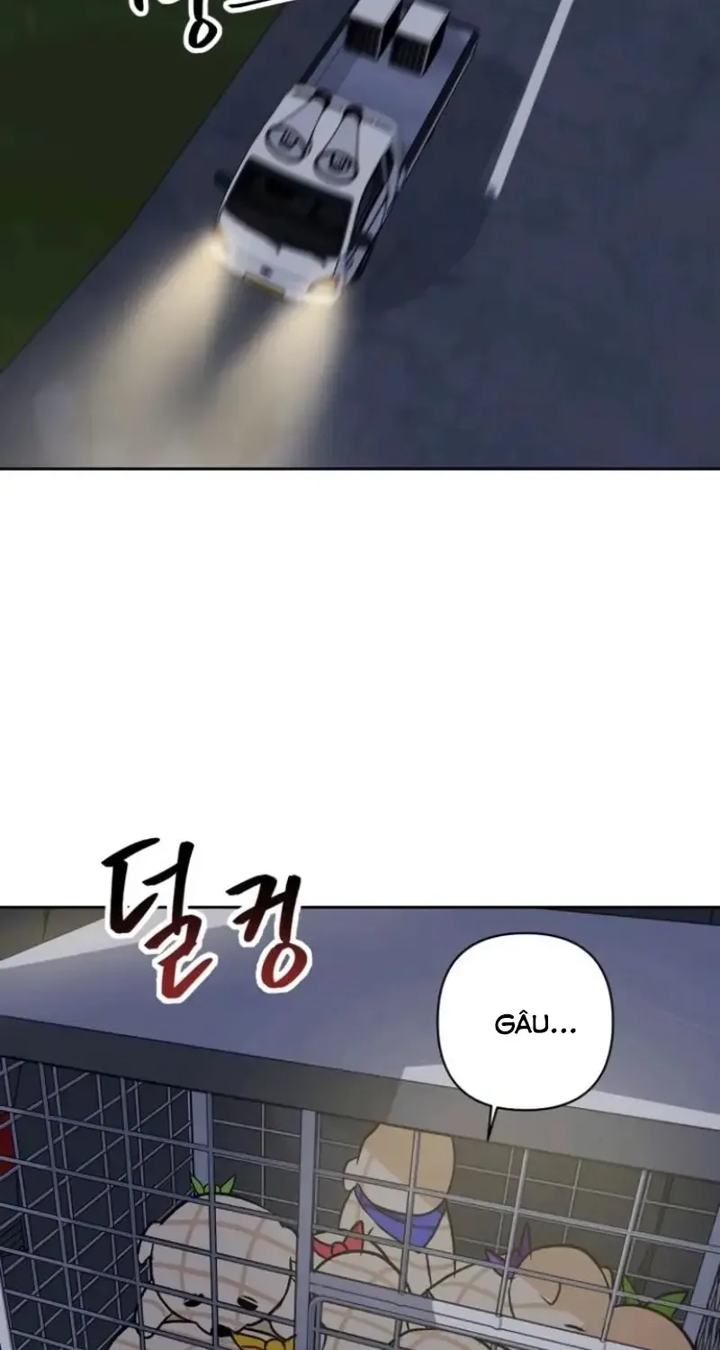 Chapter 8