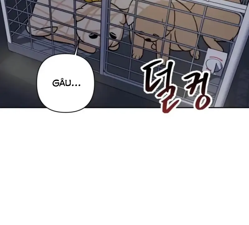Chapter 8