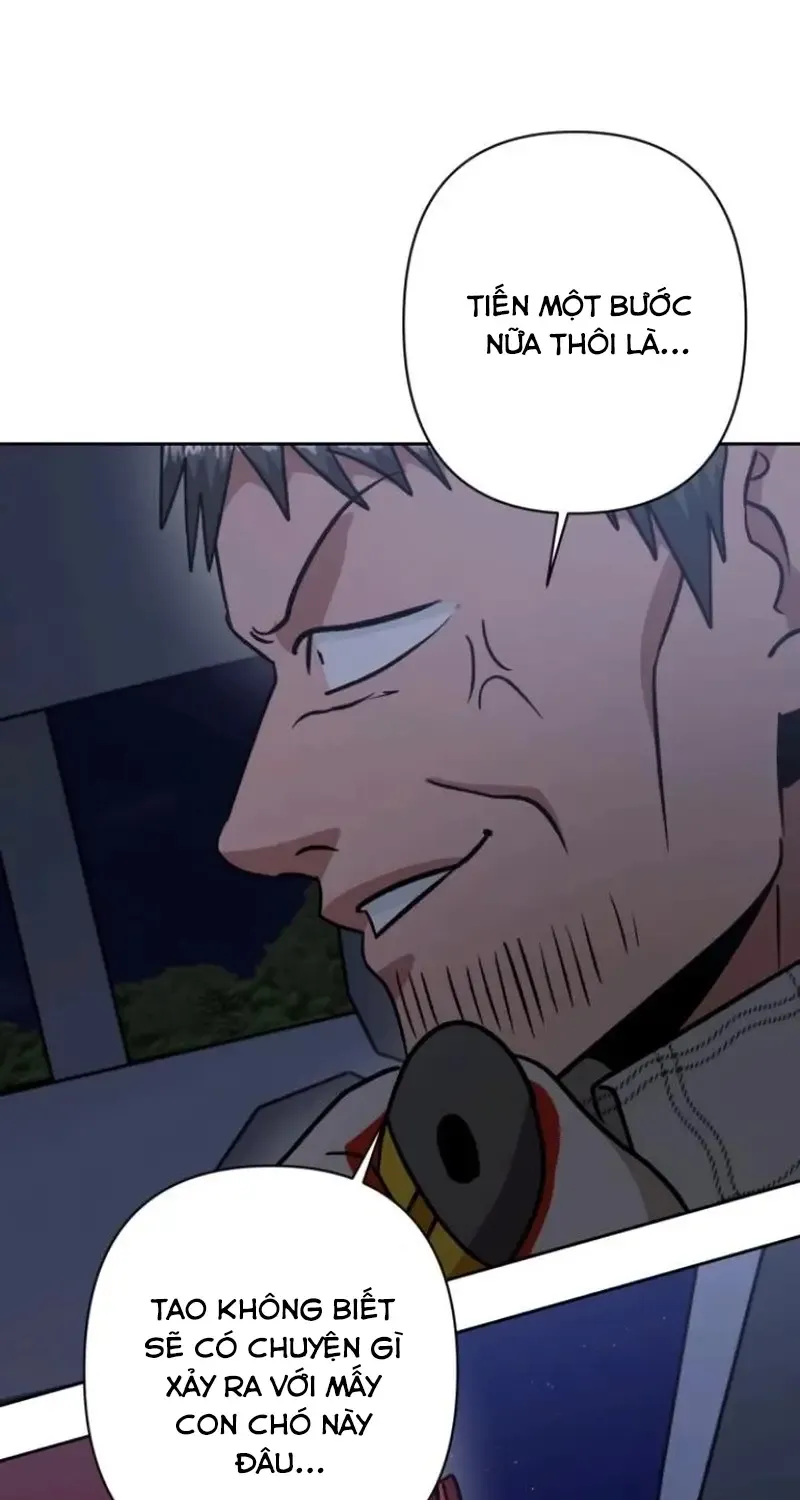 Chapter 8