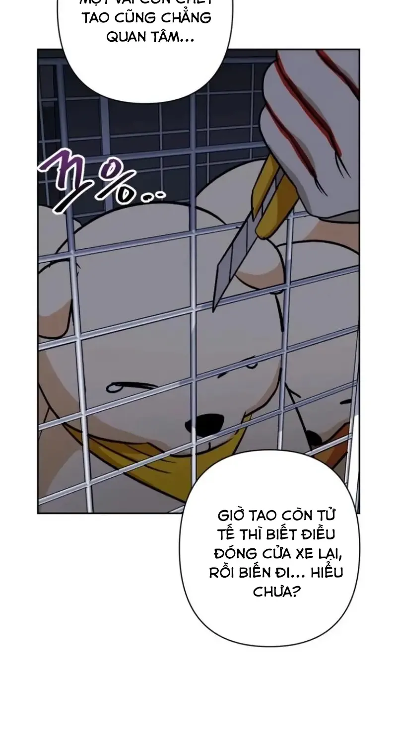 Chapter 8