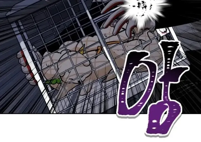 Chapter 8