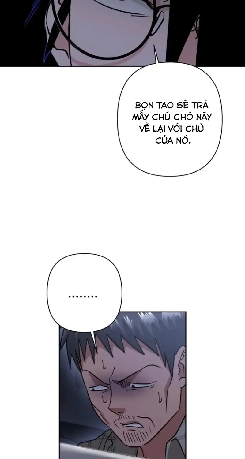 Chapter 8
