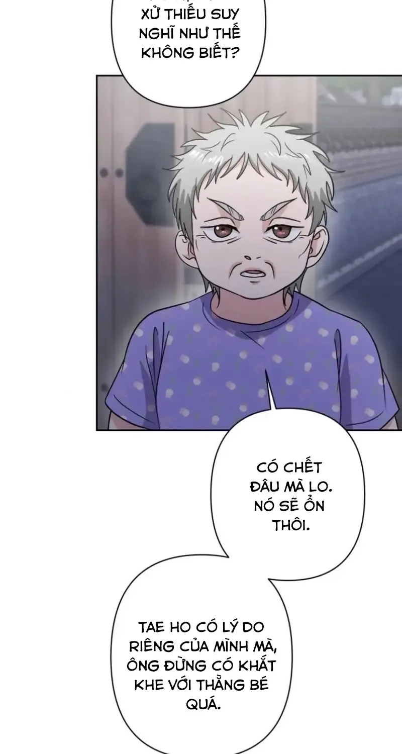 Chapter 8