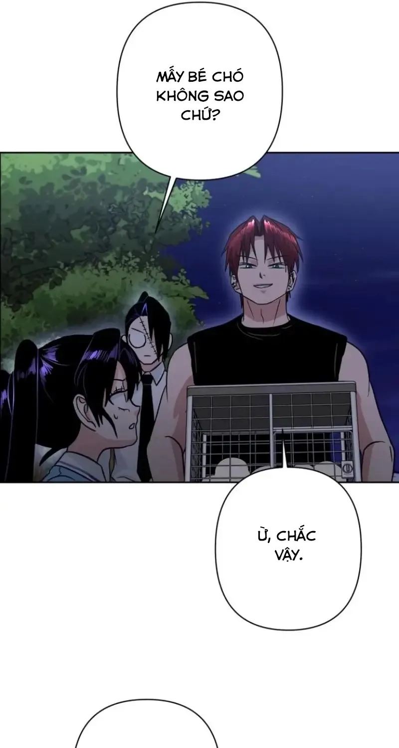 Chapter 8