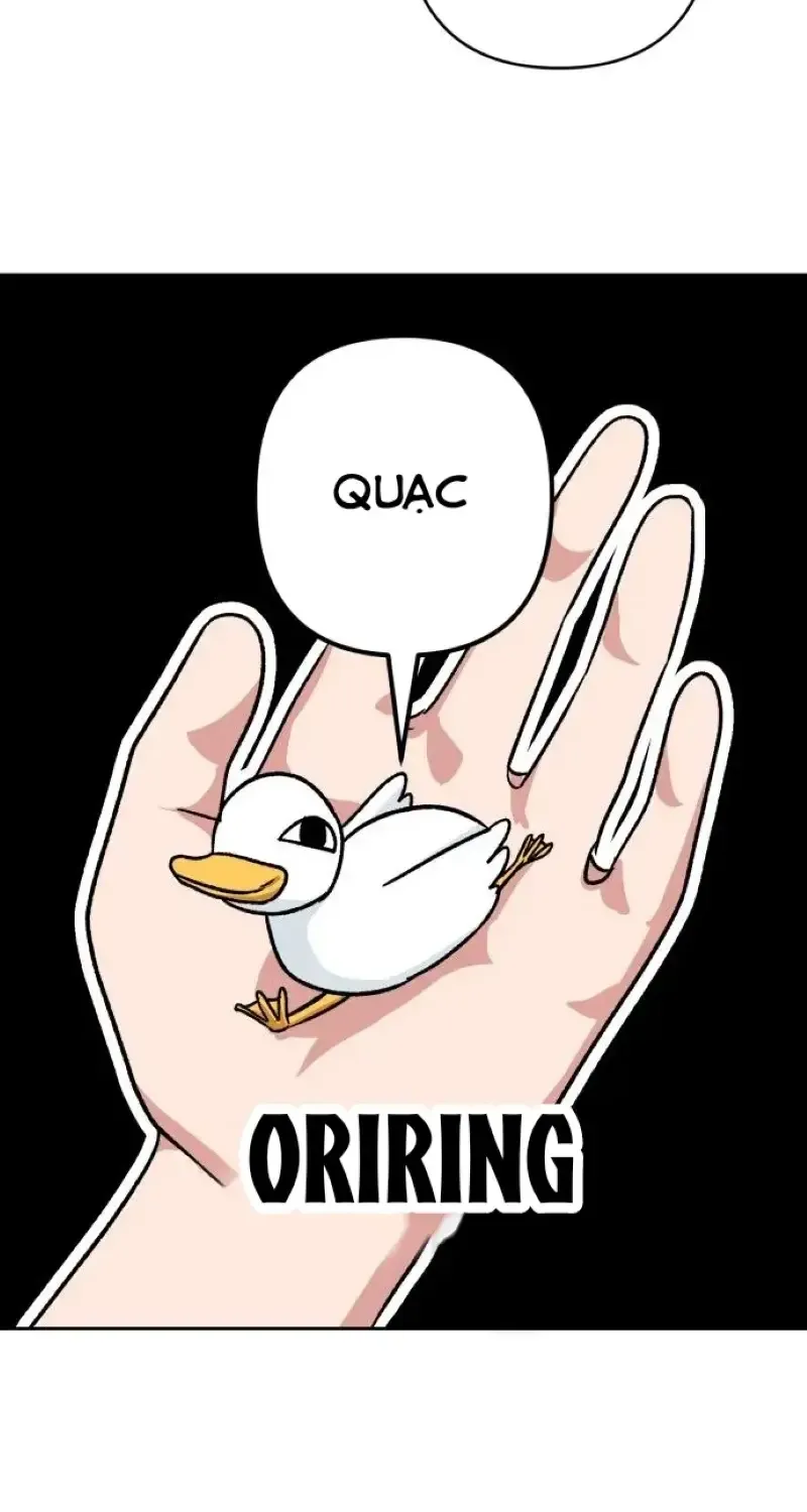 Chapter 9