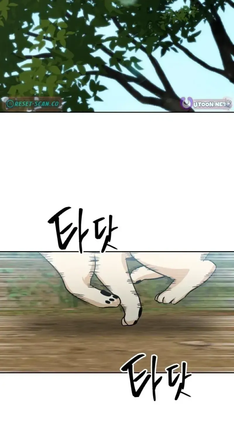 Chapter 9