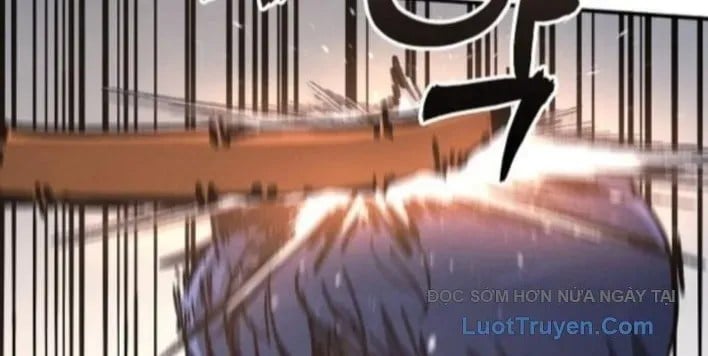 Chapter 11