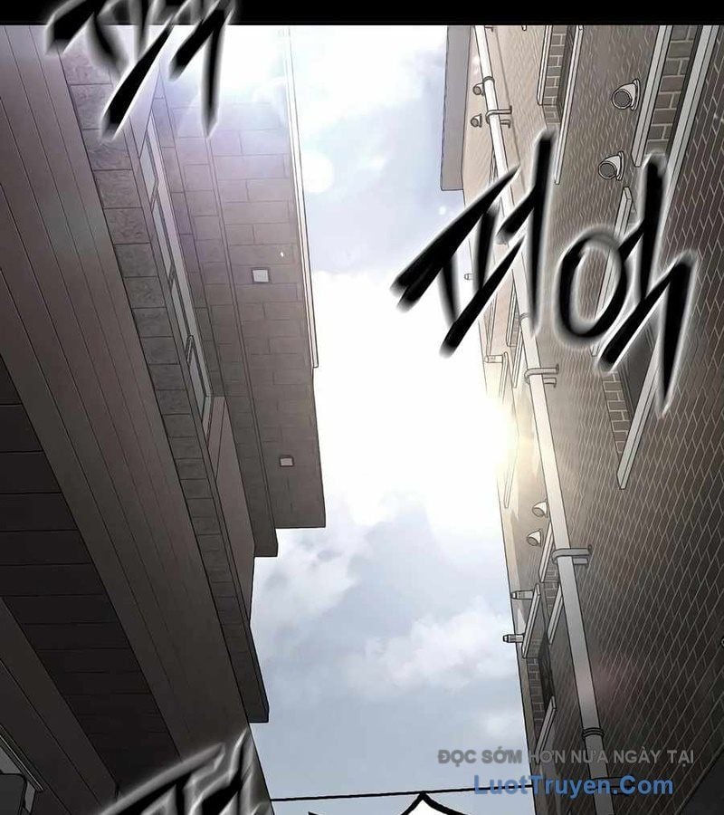 Chapter 12