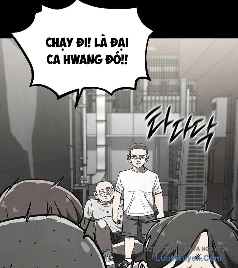Chapter 12