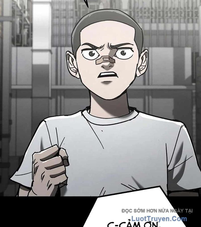 Chapter 12