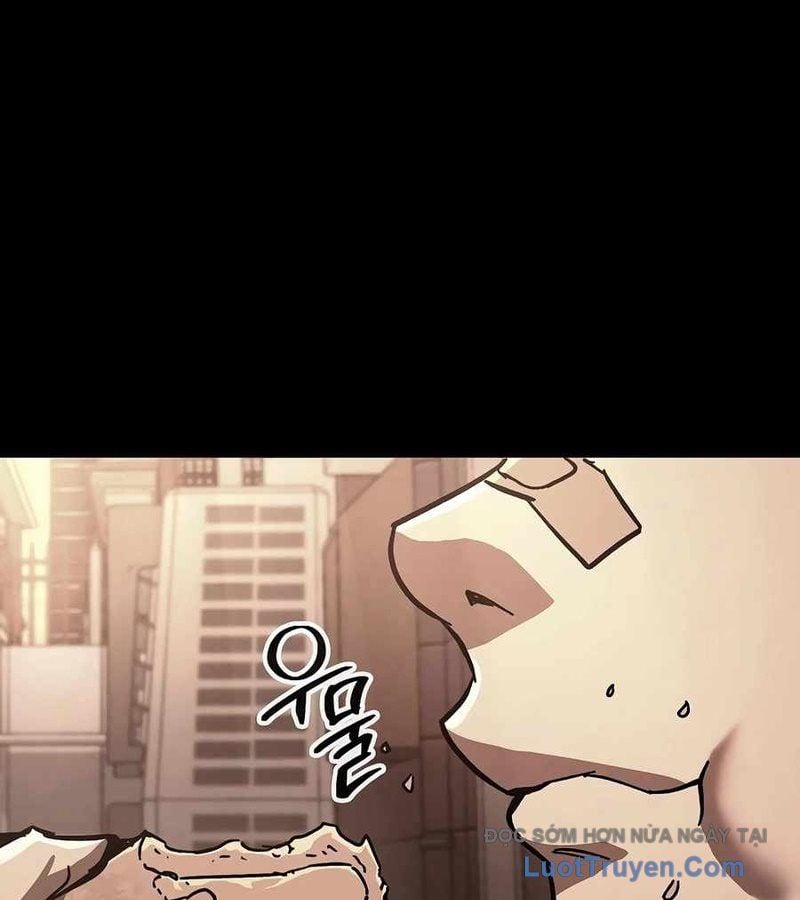 Chapter 12