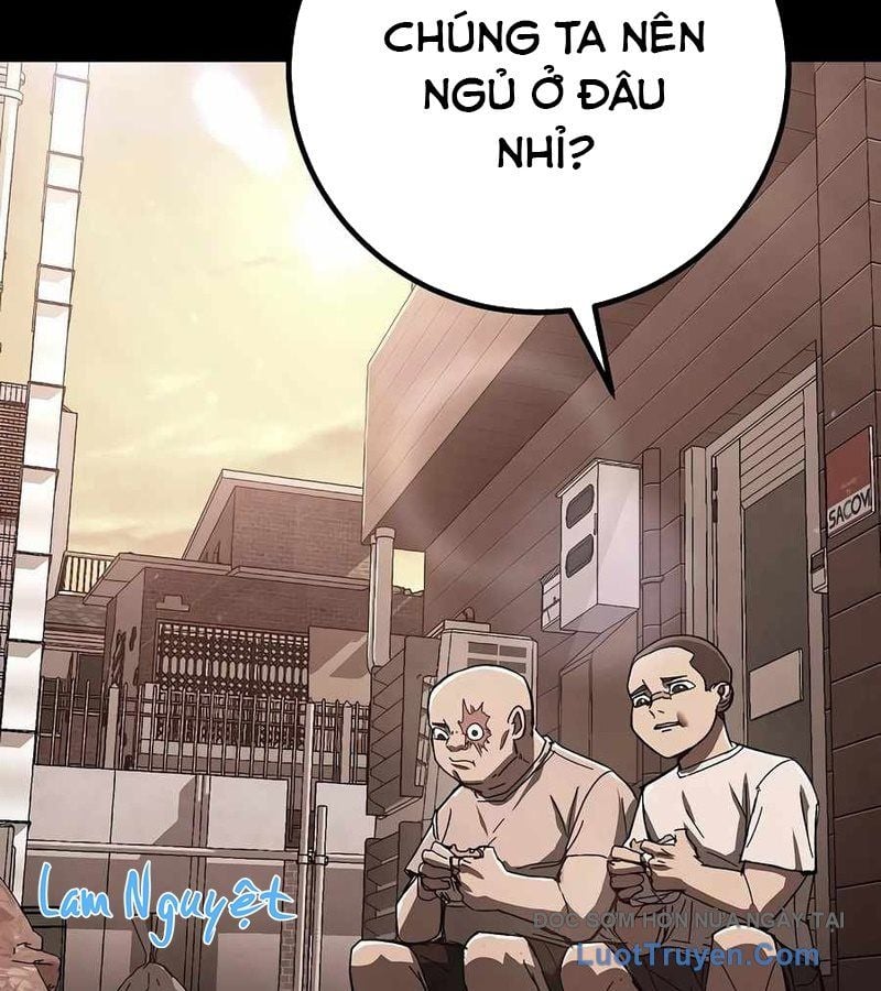 Chapter 12