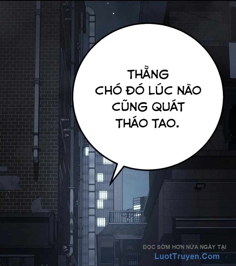 Chapter 12