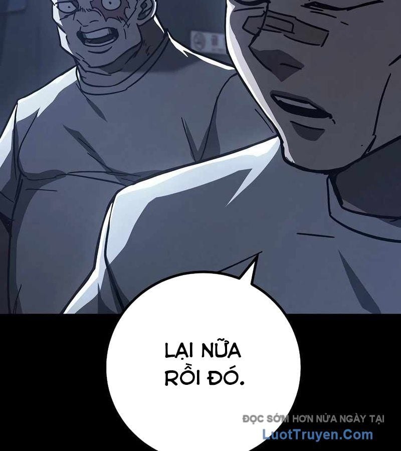 Chapter 12