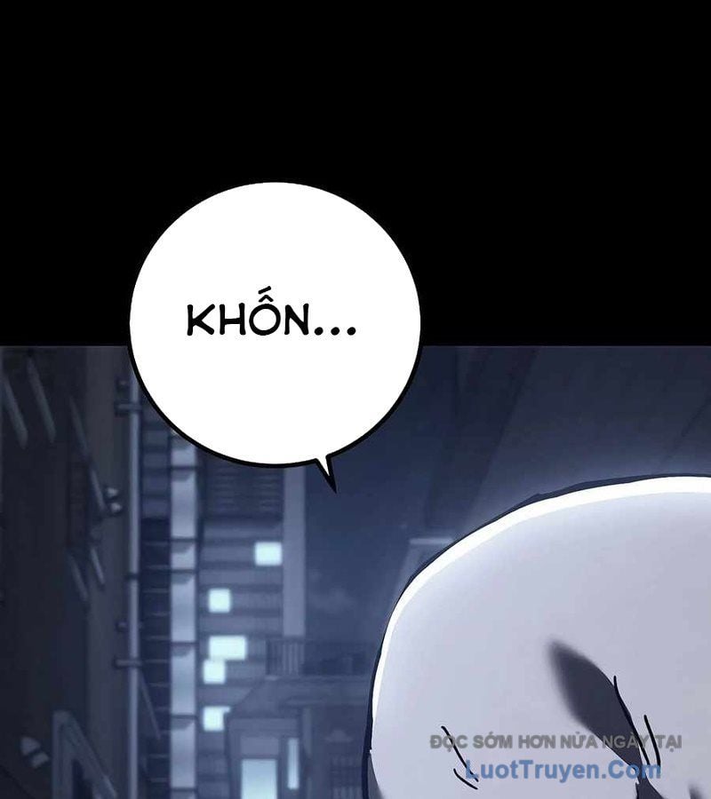 Chapter 12